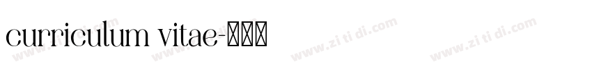 curriculum vitae字体转换
